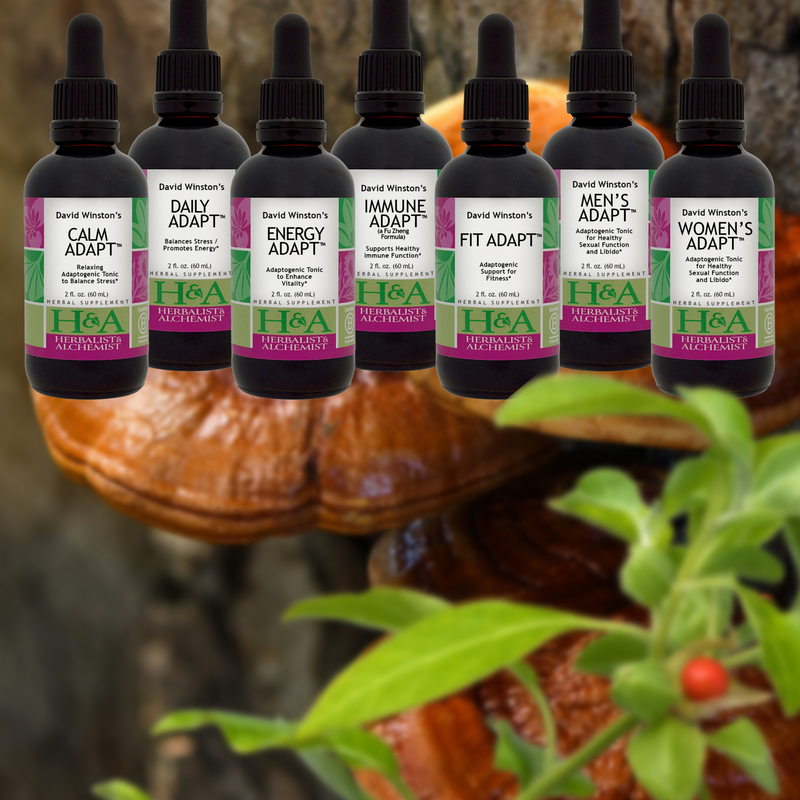 Herbalist & Alchemist