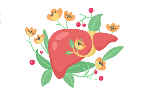 Liver Health.