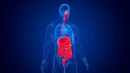 Digestive health.