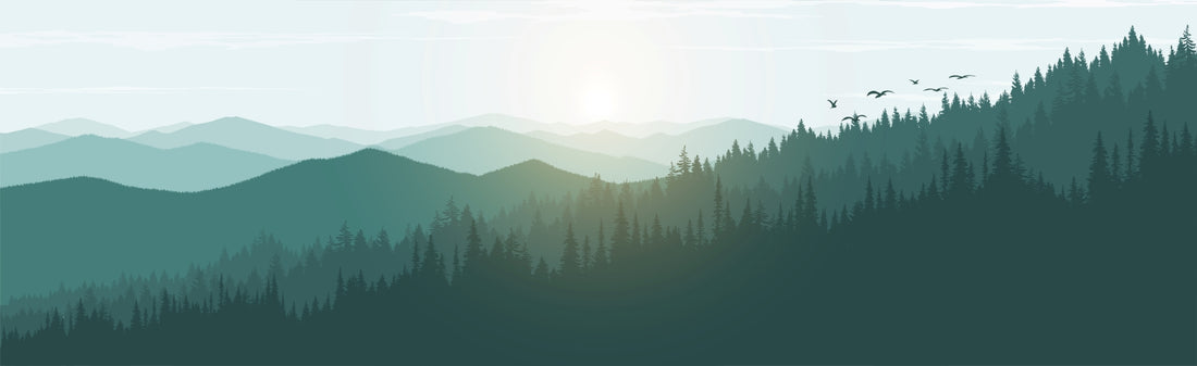 Serene background.