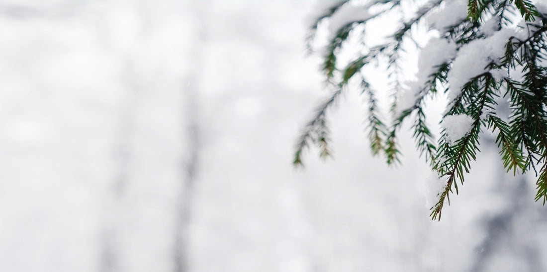 Simple Winter scene.