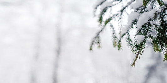 Simple Winter scene.