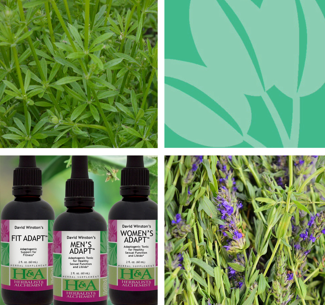  Herbalist & Alchemist