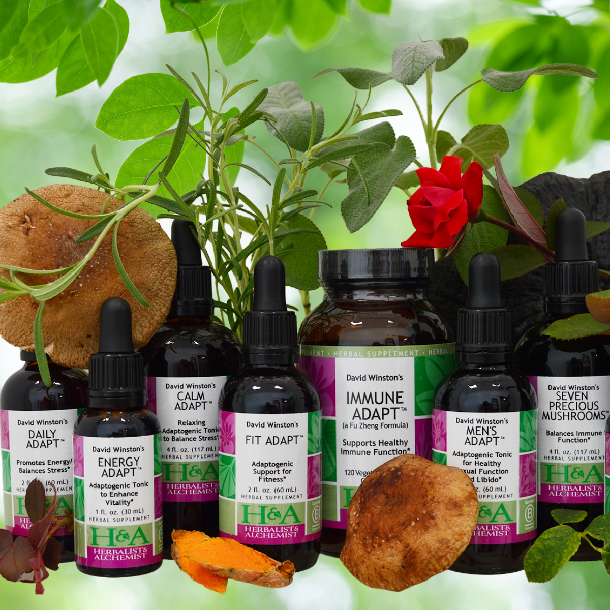  Herbalist & Alchemist