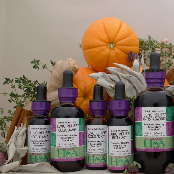  Herbalist & Alchemist