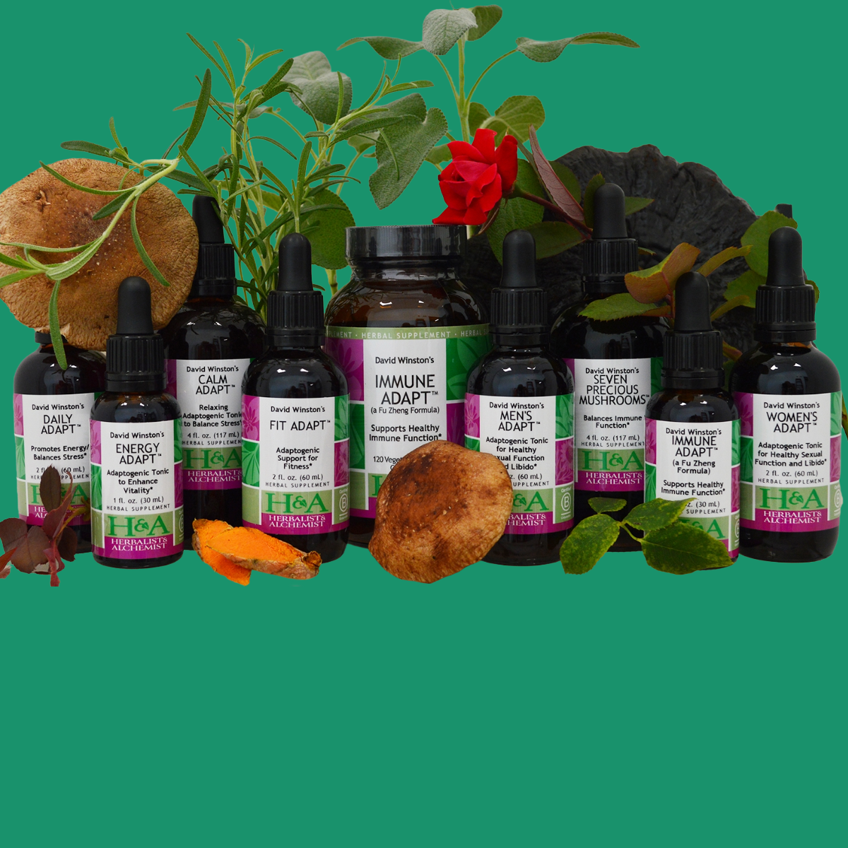  Herbalist & Alchemist1