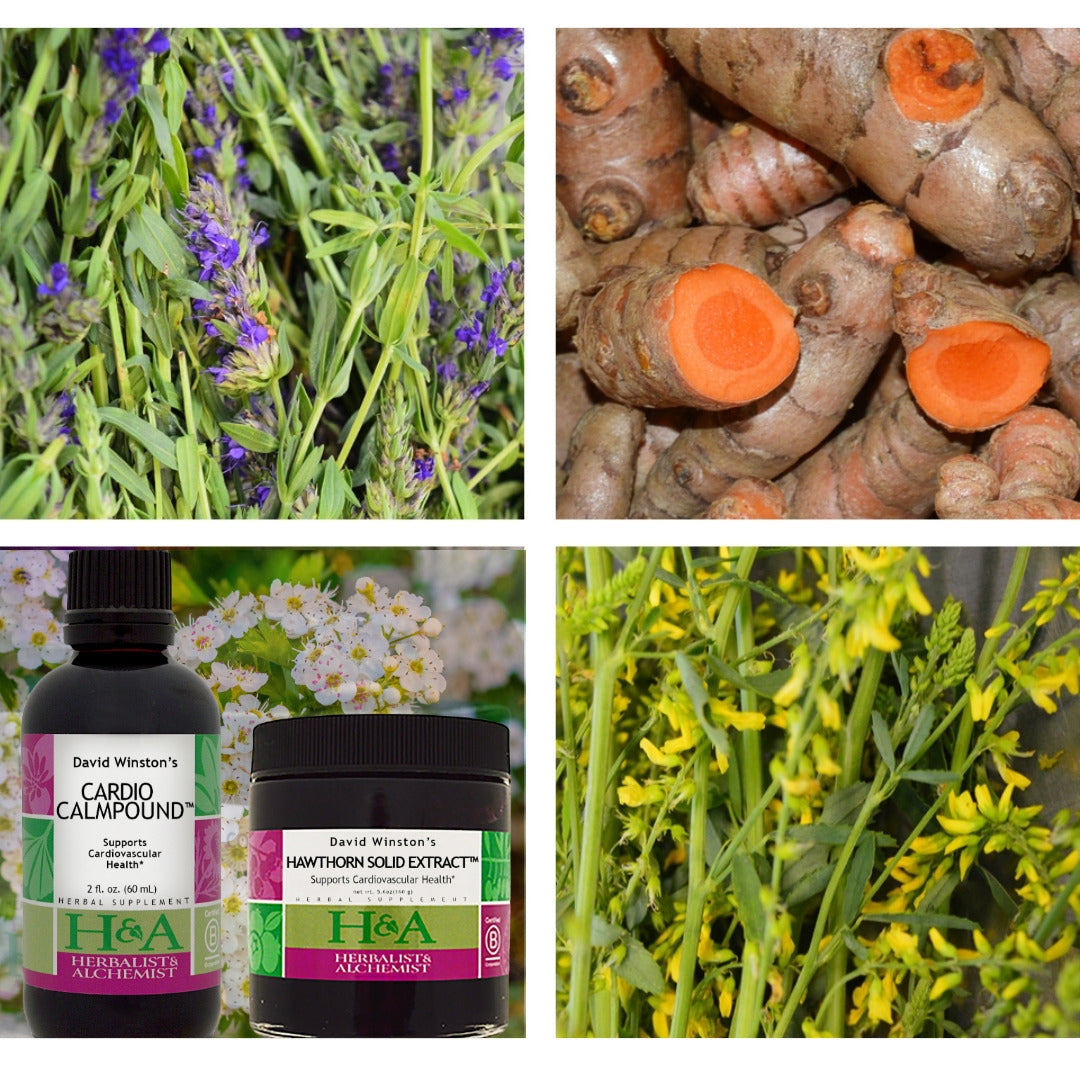  Herbalist & Alchemist