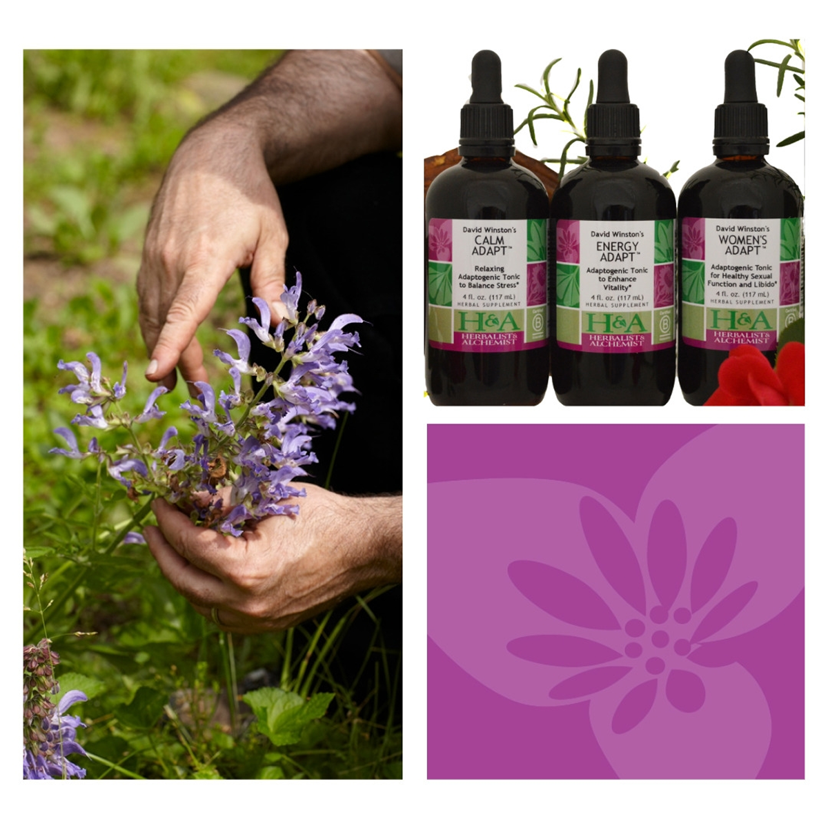  Herbalist & Alchemist