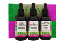 Kidney Vitality Support