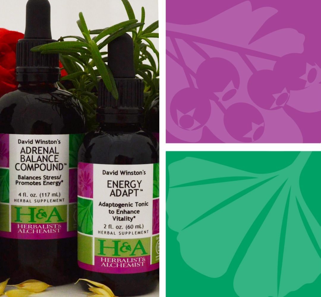  Herbalist & Alchemist