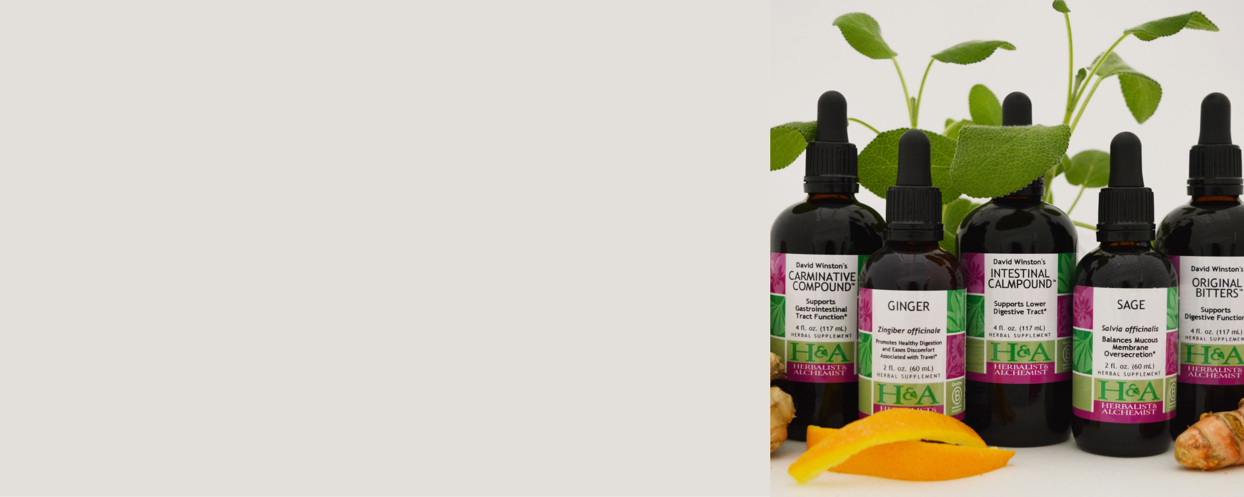  Herbalist & Alchemist