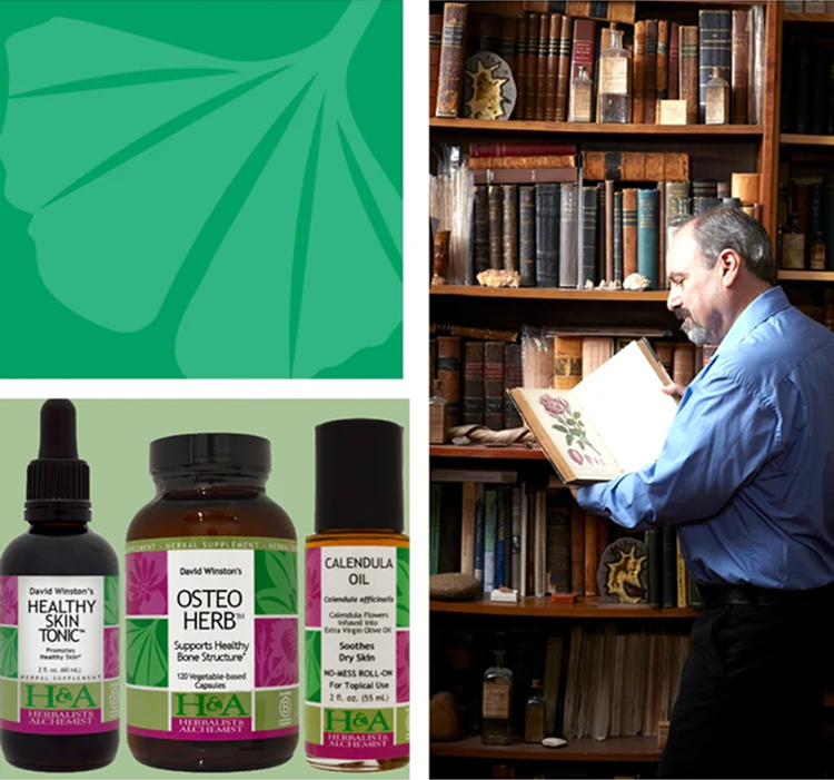  Herbalist & Alchemist