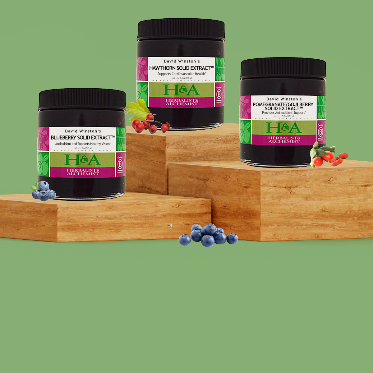  Herbalist & Alchemist3