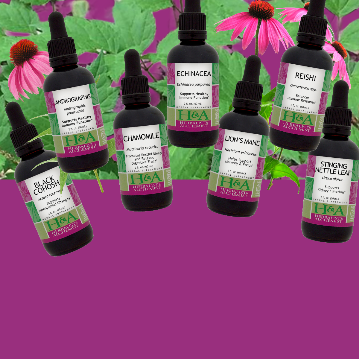  Herbalist & Alchemist2